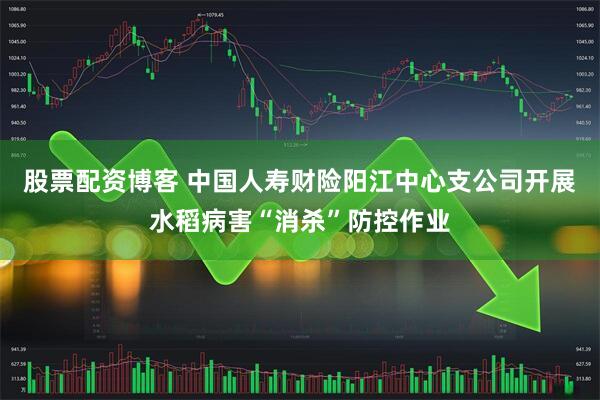 股票配资博客 中国人寿财险阳江中心支公司开展水稻病害“消杀”防控作业